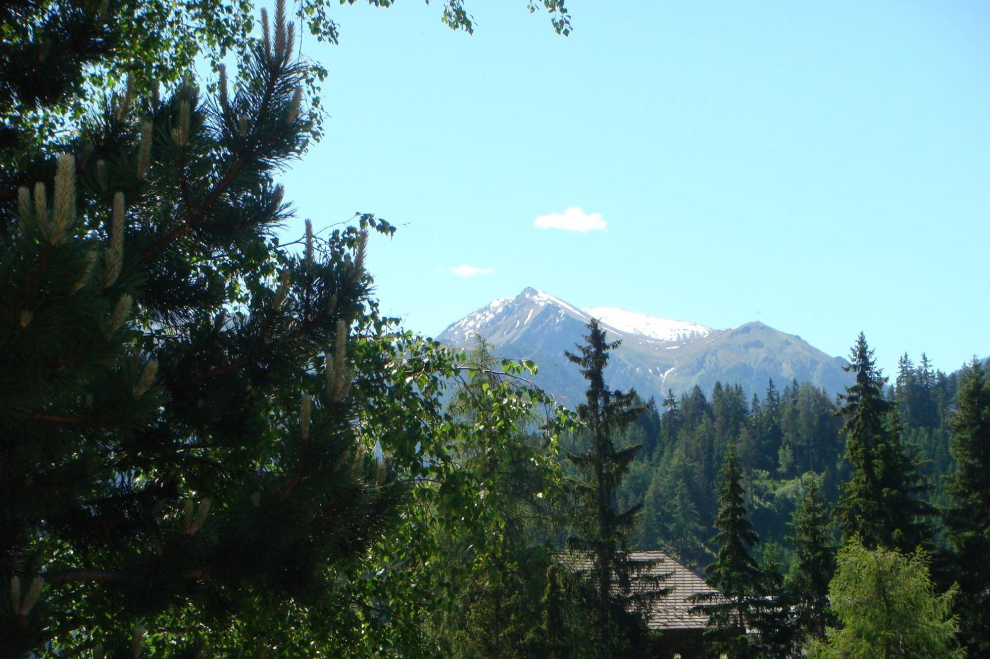 Pension Alpenrose แซร์เฟาส์ ห้อง รูปภาพ